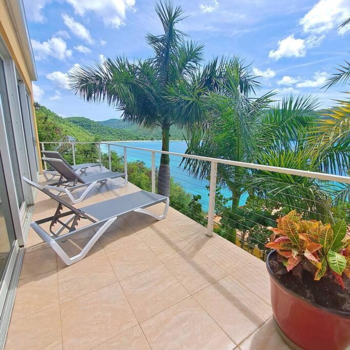 Sailfish Villa Luxury Beachfront Estate Magens Bay Cruz Bay Eksteriør bilde